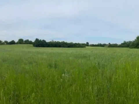 Prodaja, plac, 9500m², Koraćica, Mladenovac - image 2