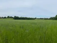 Prodaja, plac, 95m², Koraćica, Mladenovac - image 2