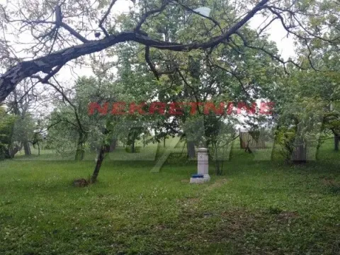 Prodaja, kuća, 200m², Tekija, Paraćin - image 7