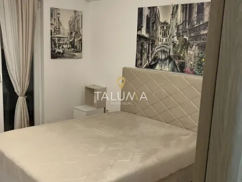 Rent, one bedroom apartment, 50m², Tuški Put, Podgorica - image 4