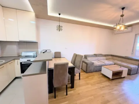 Izdavanje, jednosoban stan, 46m², Tuški Put, Podgorica - image 8