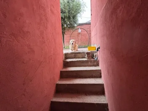 Sale, house, 150m², Surčin, Beograd - image 6