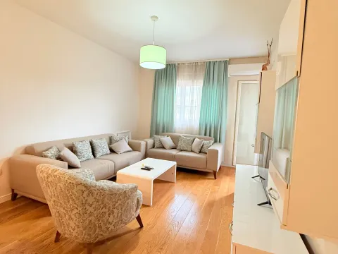 Izdavanje, jednosoban stan, 50m², Central Point, Podgorica - image 2