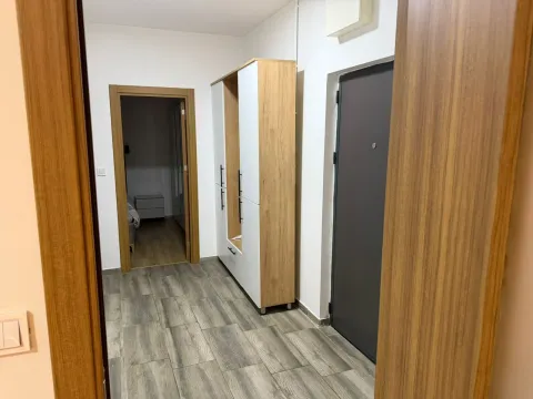 Izdavanje, jednosoban stan, 52m², Stari Aerodrom, Podgorica - image 6
