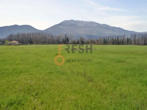 Prodaja, plac, 7628m², Danilovgrad, Crna Gora - image 8