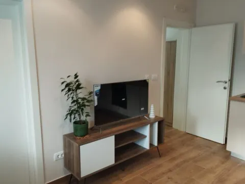 Izdavanje, jednosoban stan, 41m², Pod Kuk, Tivat - image 2