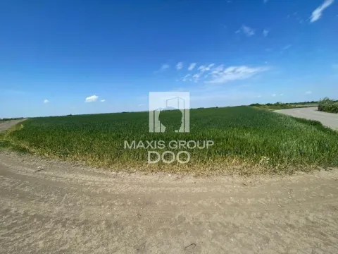 Prodaja, plac, 110000m², Šimanovci, Pećinci - image 4