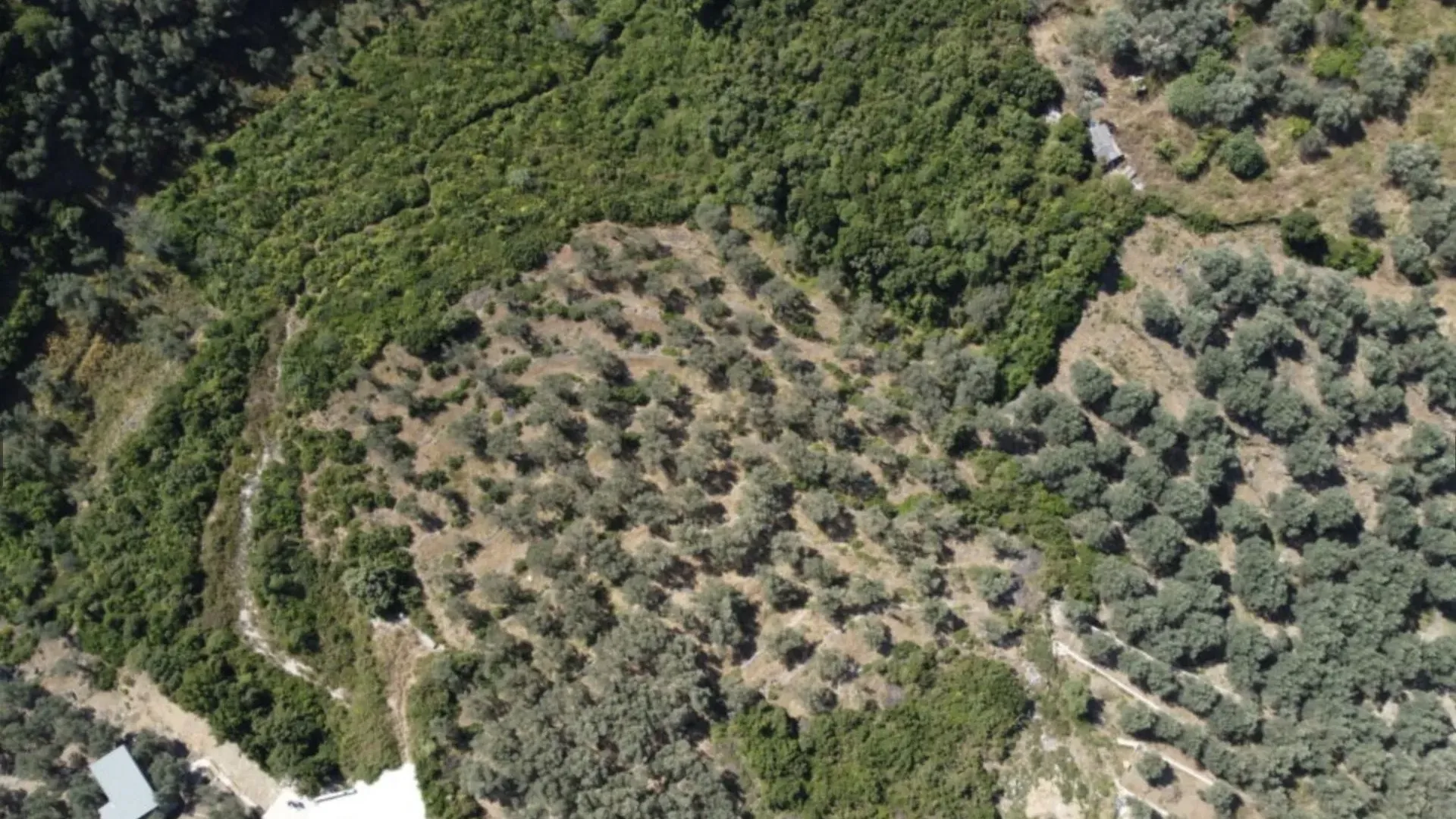 Prodaja, plac, 1996m², Ulcinj, Crna Gora