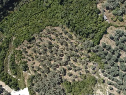 Prodaja, plac, 1996m², Ulcinj, Crna Gora - image 2