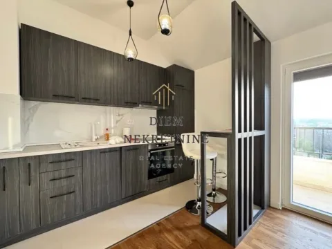 Rent, one bedroom apartment, 50m², Zagorič, Podgorica - image 3
