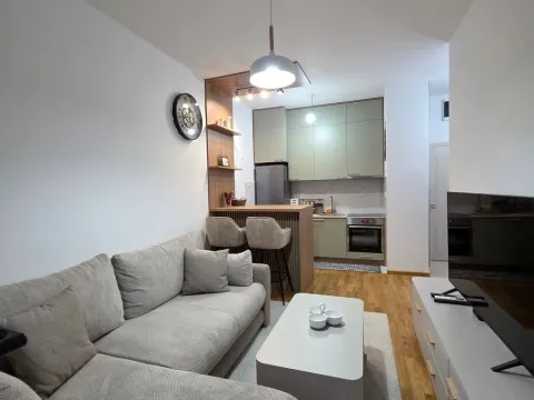 Rent, one bedroom apartment, 37m², Zabjelo, Podgorica - image 3