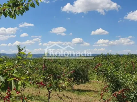 Prodaja, plac, 10200m², Sopot, Beograd - image 6