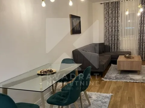 Izdavanje, jednosoban stan, 53m², Central Point, Podgorica - image 2
