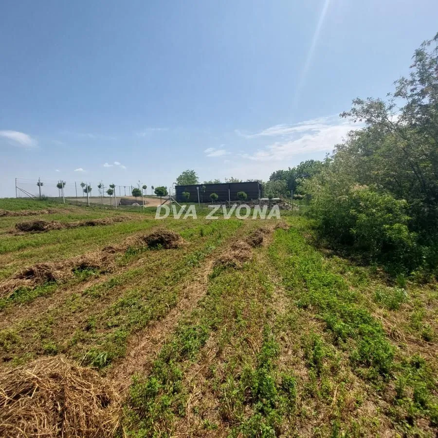 Prodaja, plac, 3500m², Novi Bečej, Zrenjanin