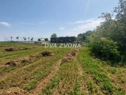 Prodaja, plac, 3500m², Novi Bečej, Zrenjanin - image 4