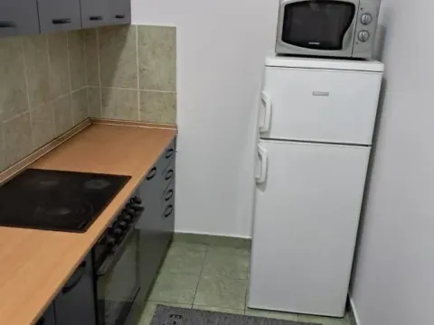 Rent, two bedroom apartment, 50m², Sajmište, Novi Sad - image 2