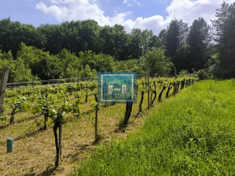 Prodaja, kuća, 300m², Senje, Ćuprija - image 6