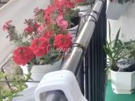 Sale, three bedroom apartment, 61m², Stari Slankamen, Inđija - image 19