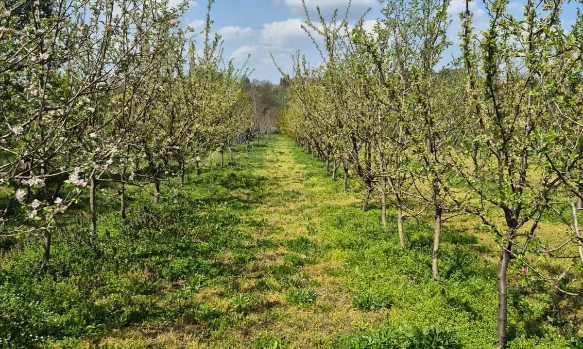 Prodaja, plac, 2950m², Voždovac Sve Podlokacije, Beograd
