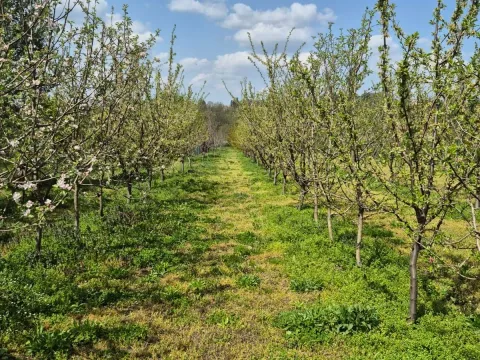 Zemljište in Voždovac Sve Podlokacije