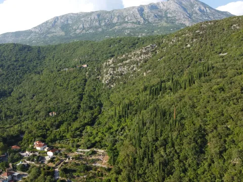 Prodaja, plac, 1000m², Mojdež, Herceg Novi - image 9