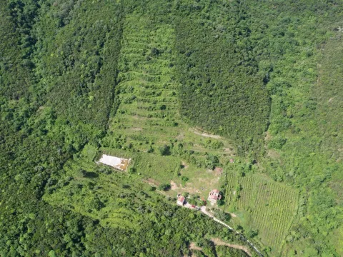 Prodaja, plac, 83000m², Radanovići, Kotor - image 12