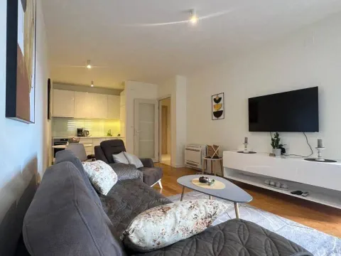 Prodaja, jednosoban stan, 49m², Central Point, Podgorica - image 6