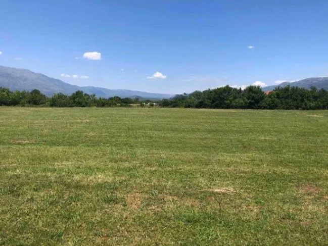 Prodaja, plac, 16200m², Martinići, Danilovgrad