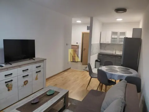 Izdavanje, jednosoban stan, 44m², Avijatičarsko naselje, Novi Sad Sve Podlokacije - image 2