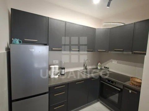 Izdavanje, jednosoban stan, 49m², Central Point, Podgorica - image 5