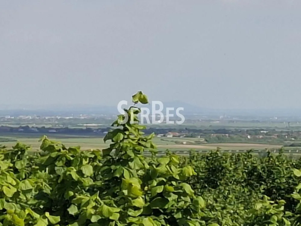 Prodaja, kuća, 45m², Maradik, Inđija