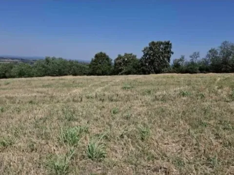 Sale, land lot, 10800m², Baničina, Smederevska Palanka - image 5