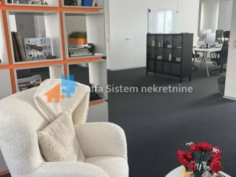 Izdavanje, poslovni prostor, 360m², Stari Grad, Beograd - image 9