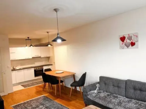 Izdavanje, jednosoban stan, 53m², Central Point, Podgorica - image 8