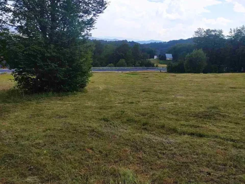 Prodaja, plac, 3167m², Pašina Voda, Žabljak - image 5