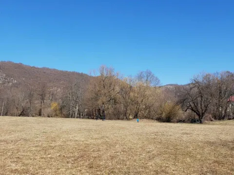 Prodaja, plac, 18000m², Drijenak, Kolašin - image 4