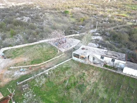 Rent, office space, 200m², Daljam, Danilovgrad - image 4