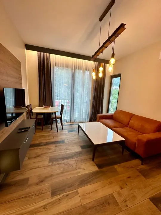 Rent, one bedroom apartment, 42m², Boreti, Budva