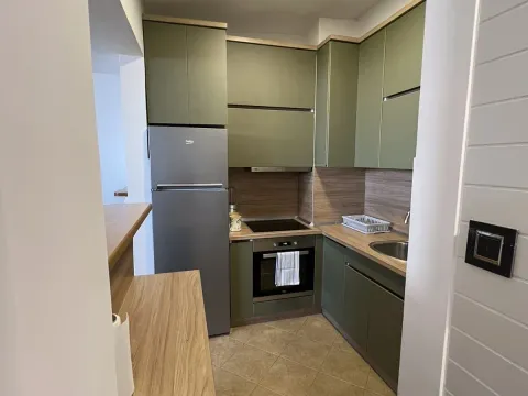 Izdavanje, jednosoban stan, 71m², Stari Aerodrom, Podgorica - image 2