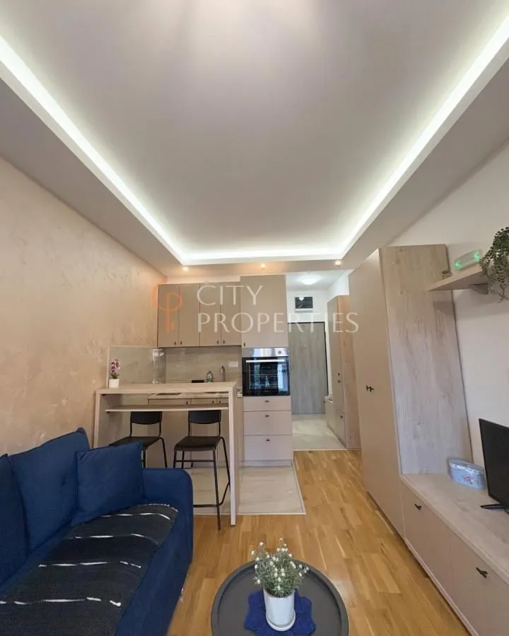 Rent, apartment, 20m², Zabjelo, Podgorica