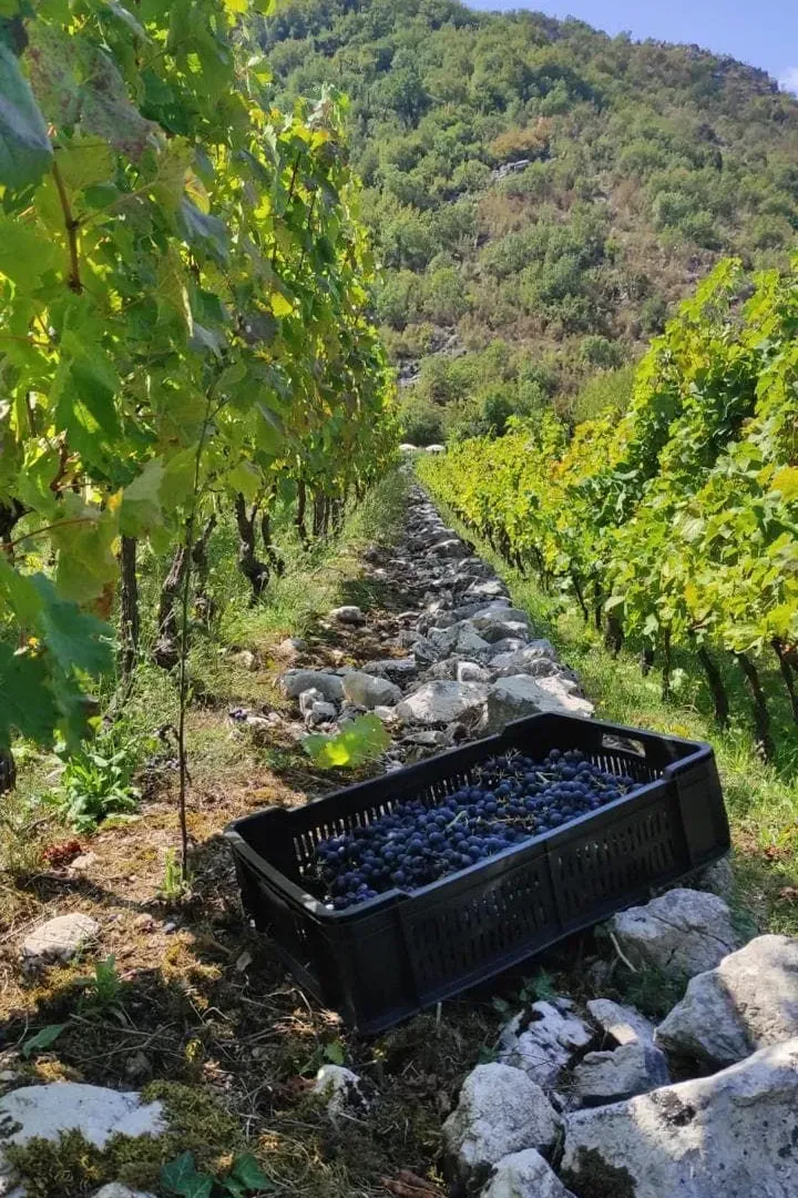 Prodaja, kuća, 170m², Bar, Crna Gora