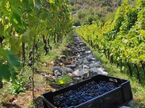 Prodaja, kuća, 170m², Bar, Crna Gora - image 2