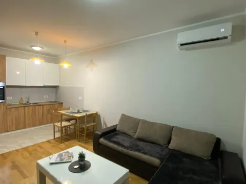Izdavanje, jednosoban stan, 43m², Zabjelo, Podgorica - image 12