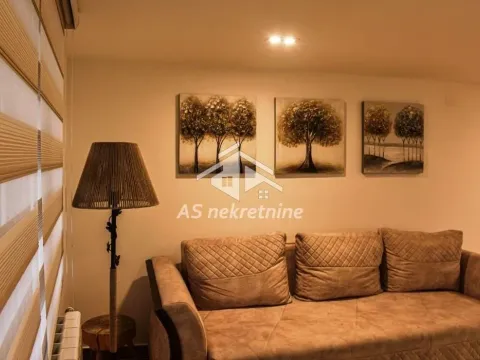 Izdavanje, stan, 74m², Južni Bulevar, Vračar Sve Podlokacije - image 5