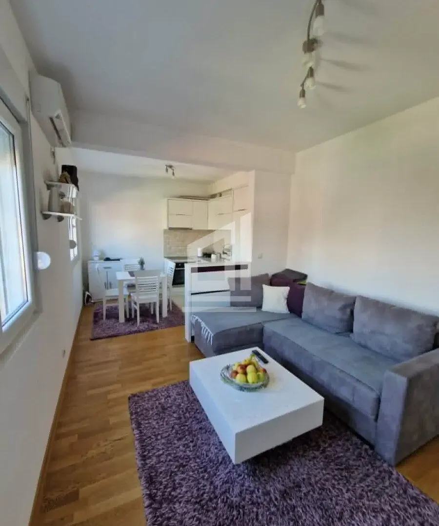 Rent, one bedroom apartment, 45m², Stari Aerodrom, Podgorica