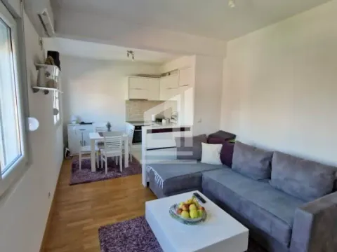 Rent, one bedroom apartment, 45m², Stari Aerodrom, Podgorica - image 18