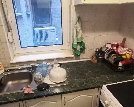 Rent, two bedroom apartment, 53m², Lion, Zvezdara Sve Podlokacije - image 5