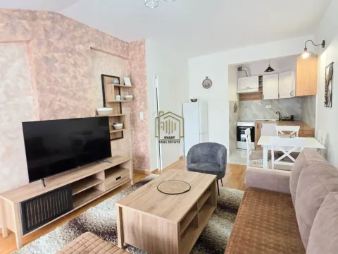 Rent, one bedroom apartment, 42m², Zagorič, Podgorica - image 2
