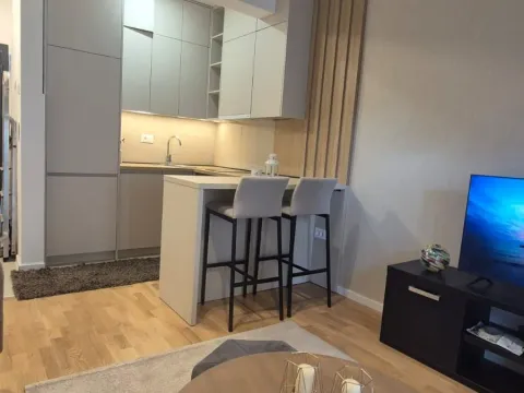 Rent, studio apartment, 26m², Zagorič, Podgorica - image 9