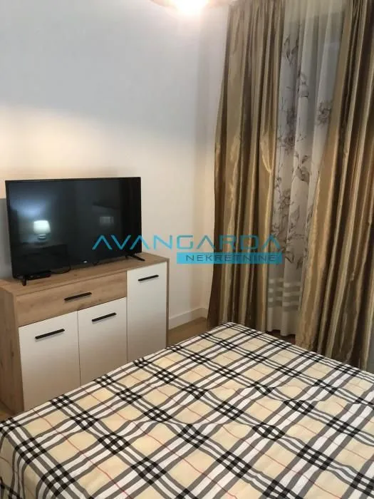 Izdavanje, stan, 46m², Dorćol Sve Podlokacije, Beograd